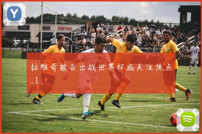 拉维奇能否出战世界杯成关注焦点_1